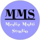 MediaMultiStudio PROMO PROJECT